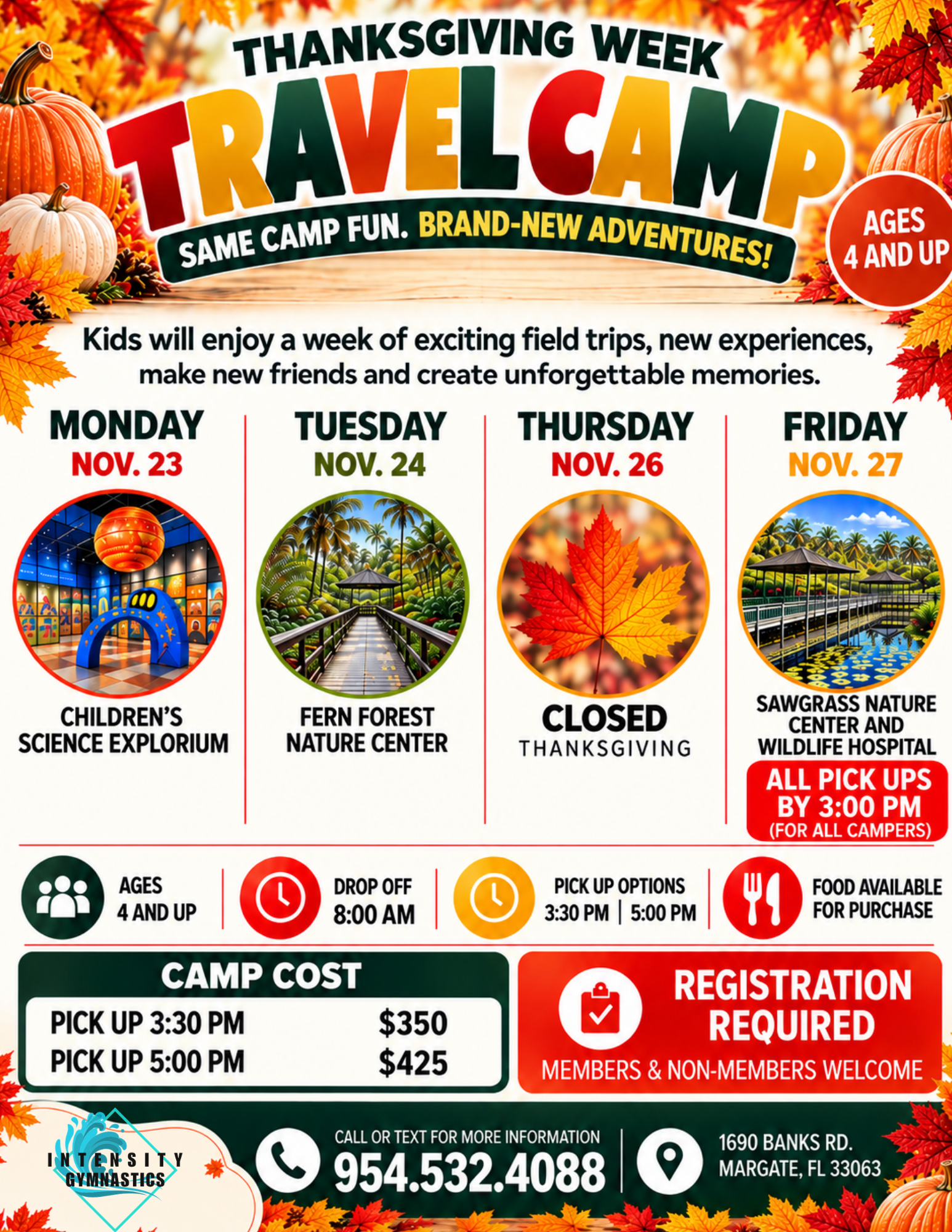 Thanksgiving Week Travel Camp flyer — November 23–27, 2026, field trips, ages 4 and up